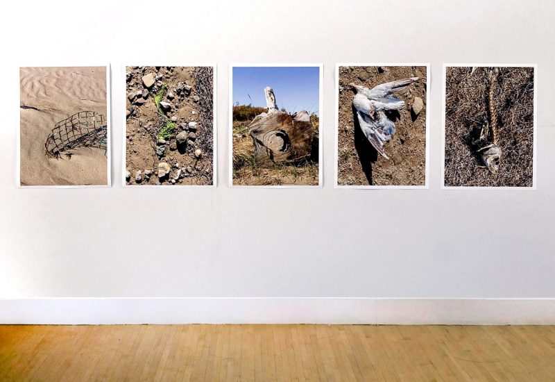 Nature morte_montage